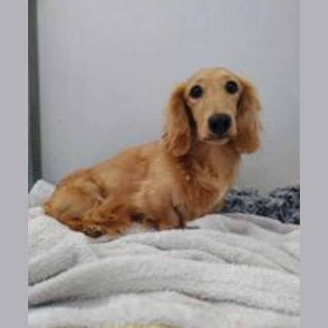 Photo of Bingo