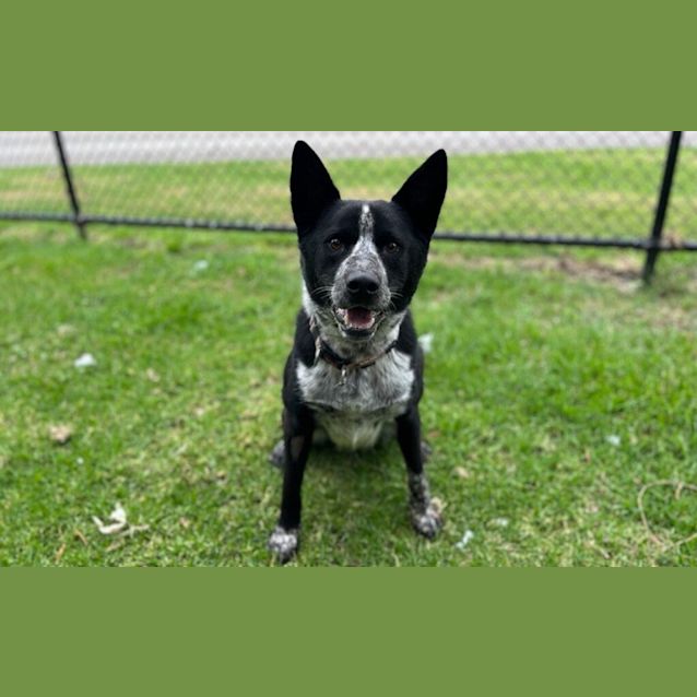 Photo of Bazza
