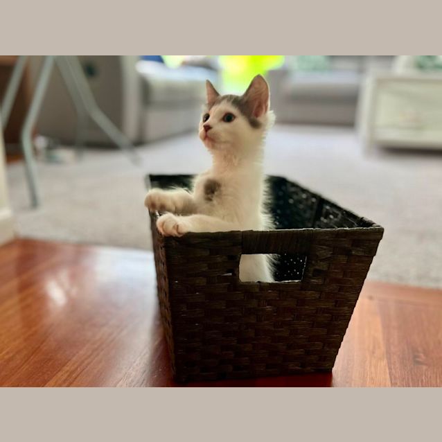 Photo of 💜 Harlee 💜