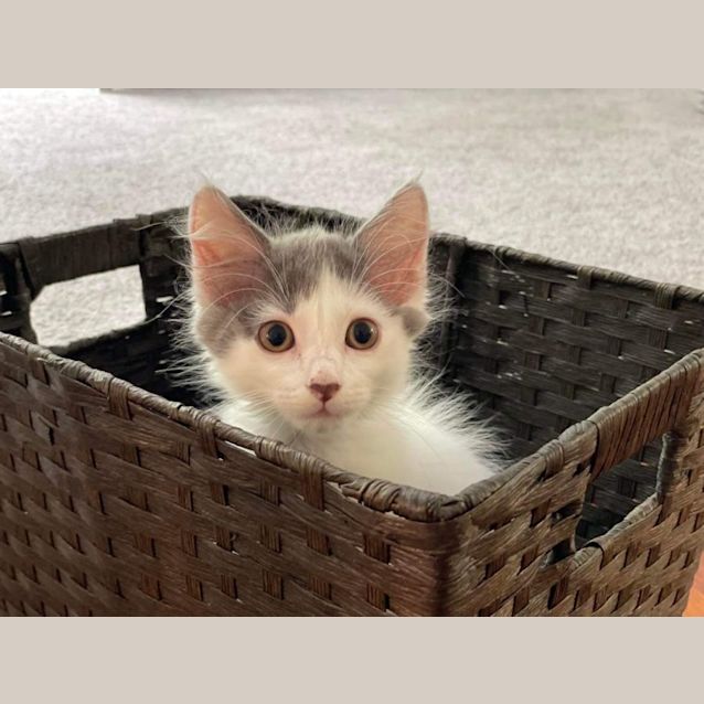 Photo of 💜 Harlee 💜