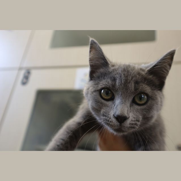 Photo of Cici Bella