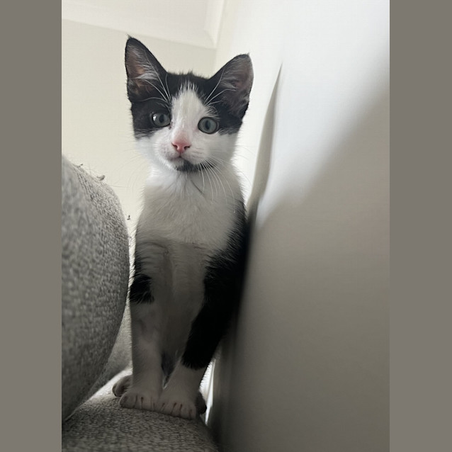Photo of Wally