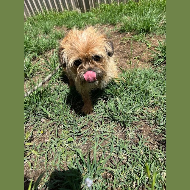 Photo of Bindi