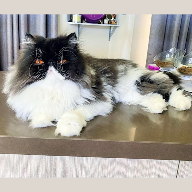 Photo of 🖤Benedict🖤