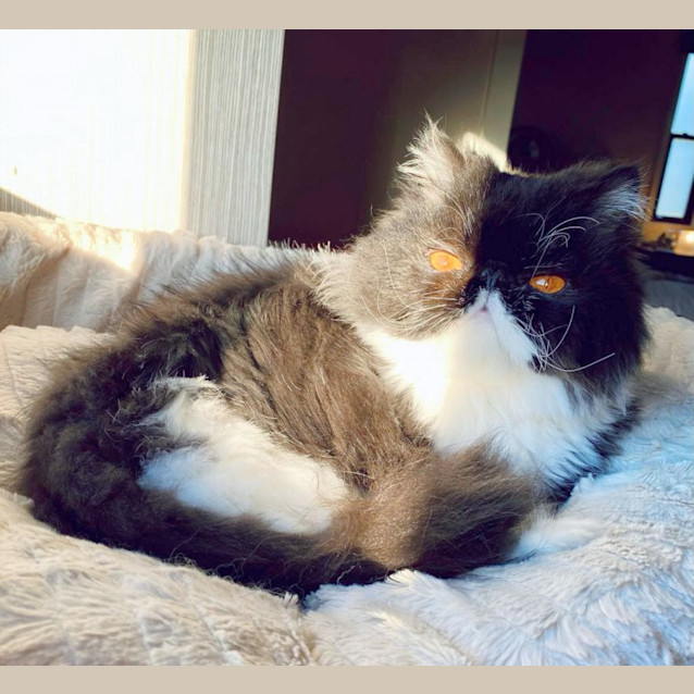 Photo of 🖤Benedict🖤