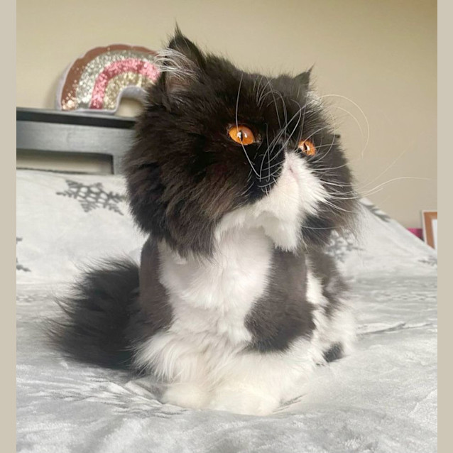 Photo of 🖤Benedict🖤