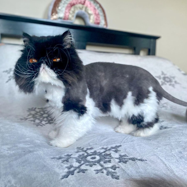 Photo of 🖤Benedict🖤