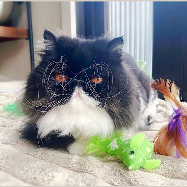 Photo of 🖤Benedict🖤