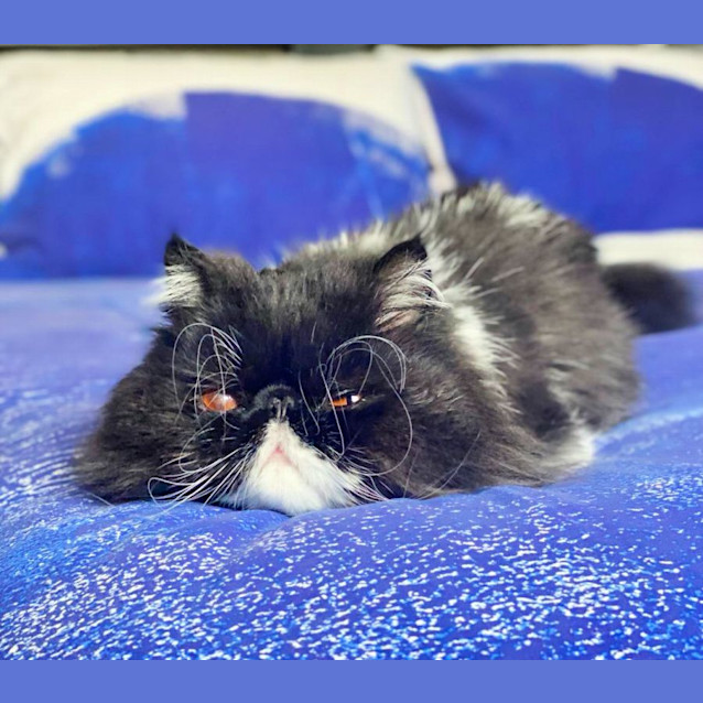 Photo of 🖤Benedict🖤