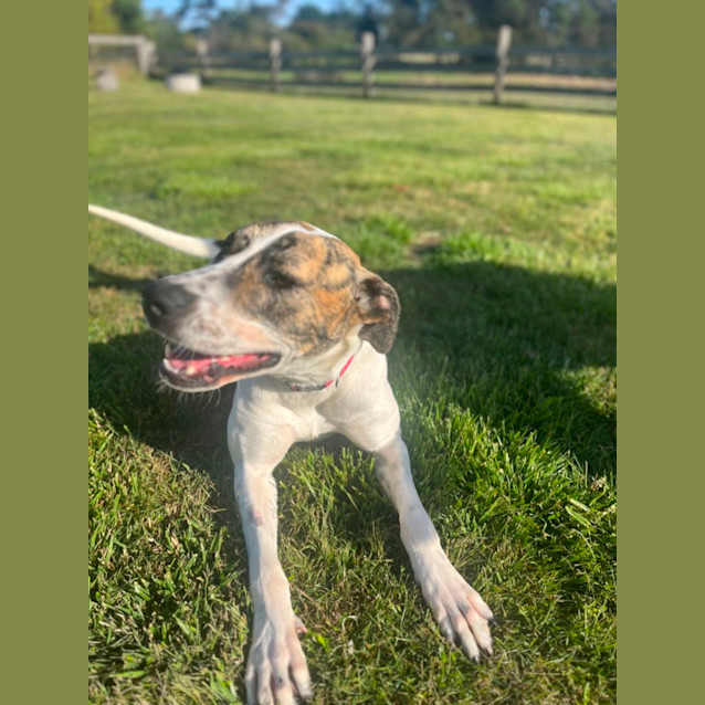 Photo of Kirra 