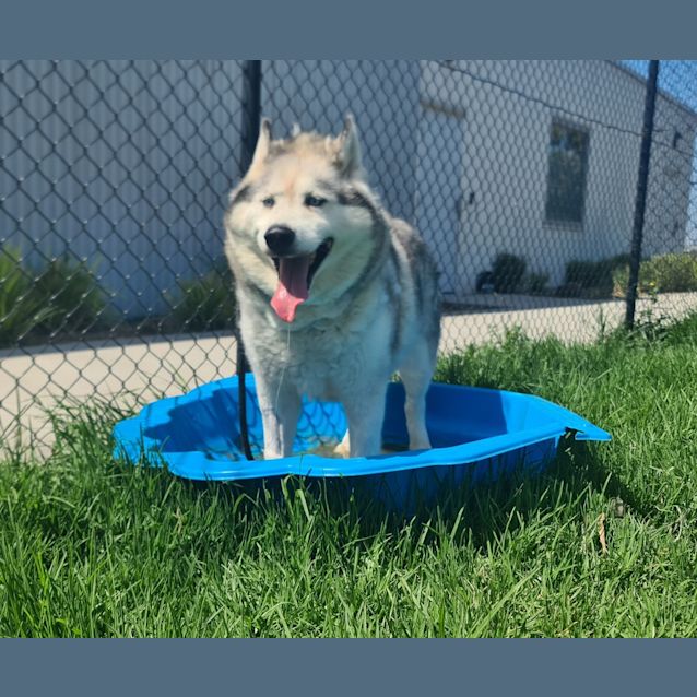 Photo of Alex