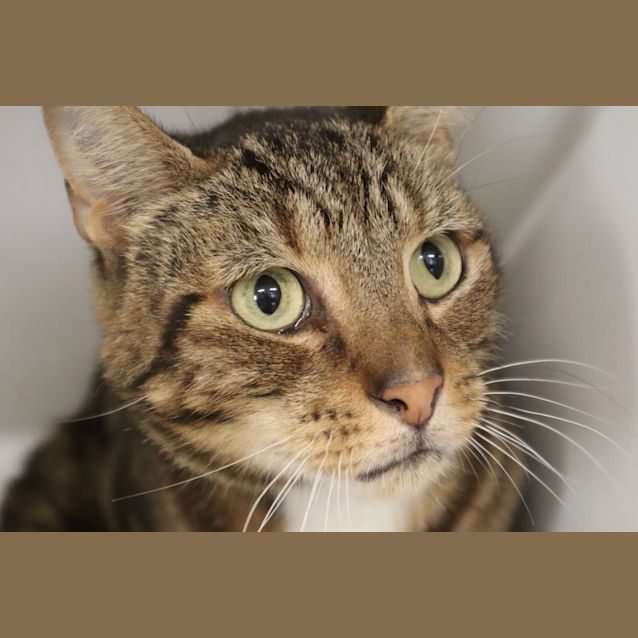 Photo of Wilbur