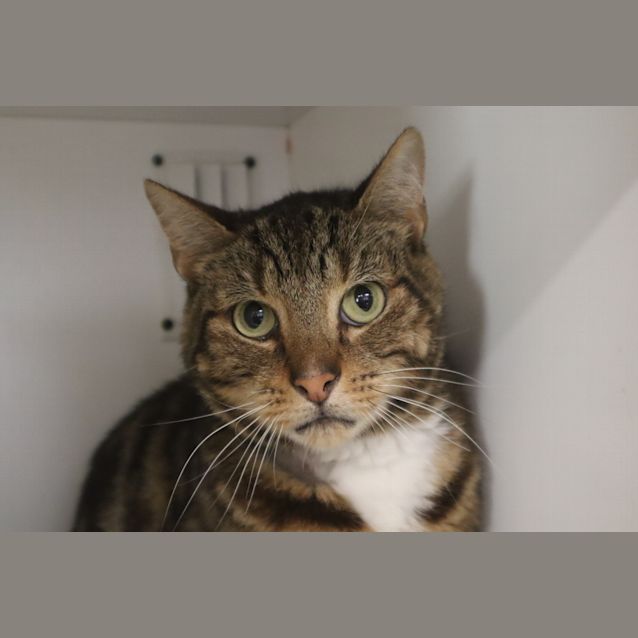 Photo of Wilbur