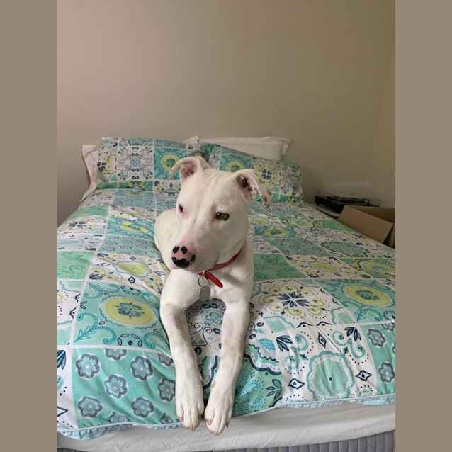 Photo of Lucy 