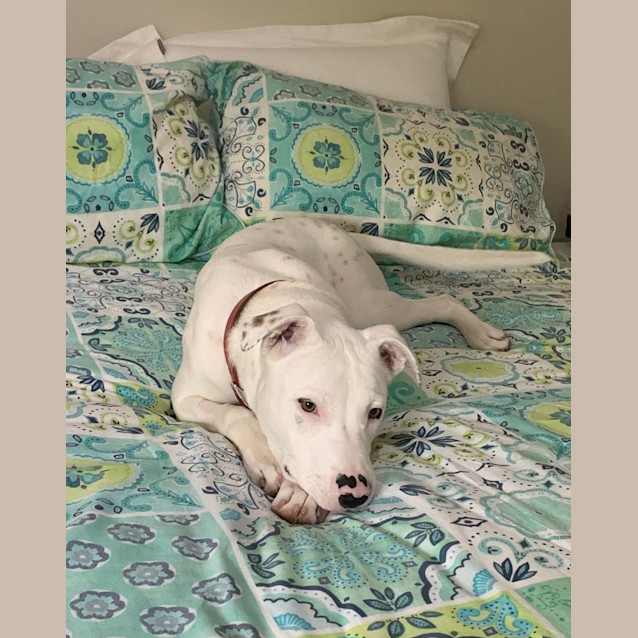 Photo of Lucy 