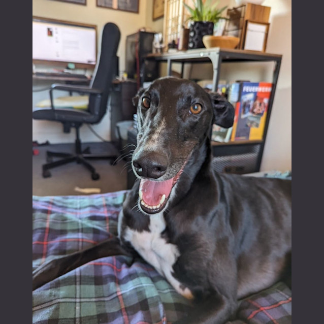 Photo of Bossy