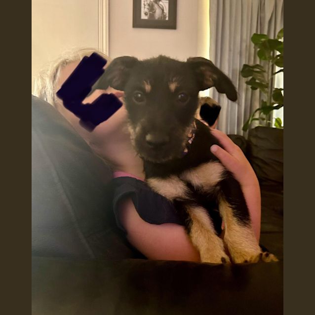 Photo of Tiny