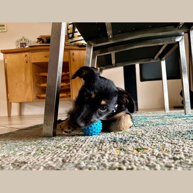 Photo of Tiny