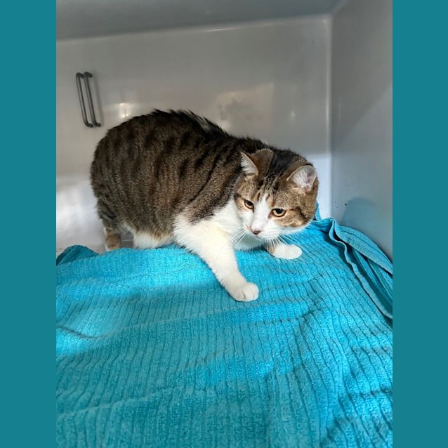Photo of Jasper