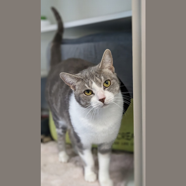 Photo of Sparkle