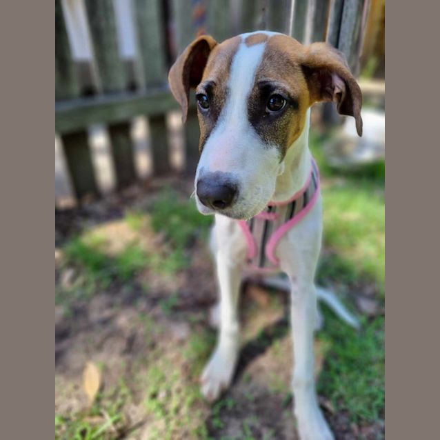 Photo of Holly