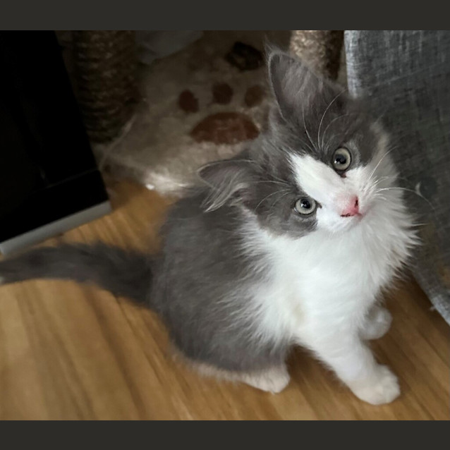 Photo of Lily