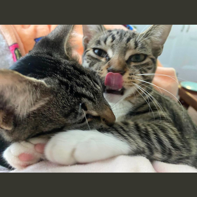 Photo of Happy & Kuma