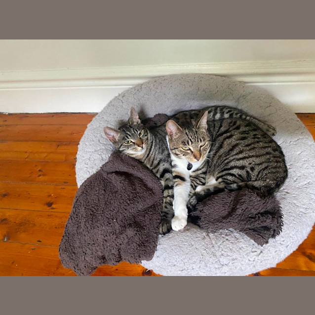 Photo of Happy & Kuma