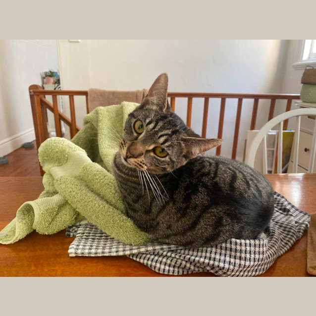 Photo of Happy & Kuma