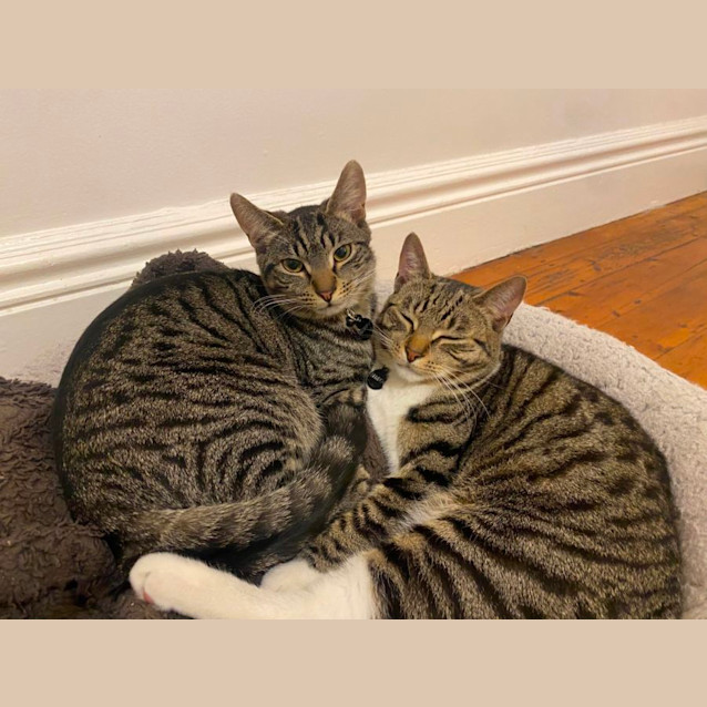 Photo of Happy & Kuma