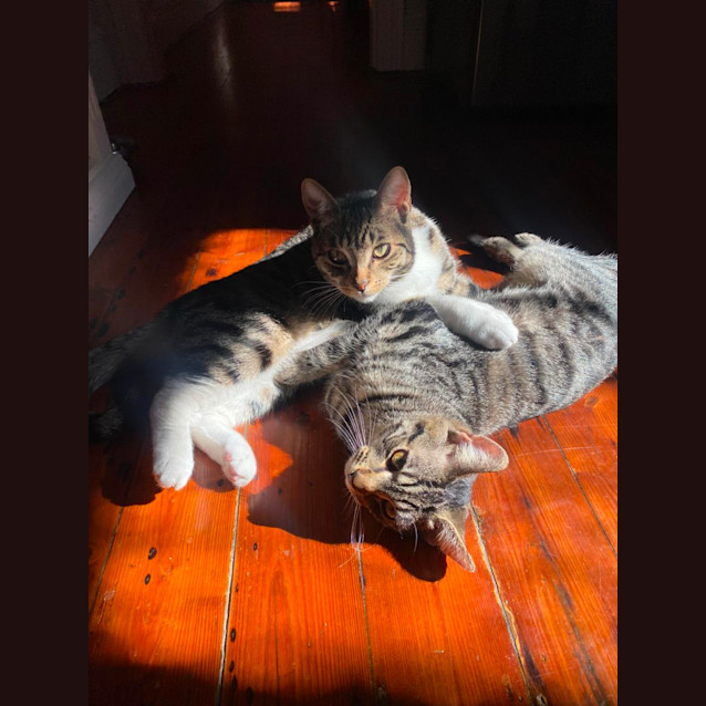 Photo of Happy & Kuma