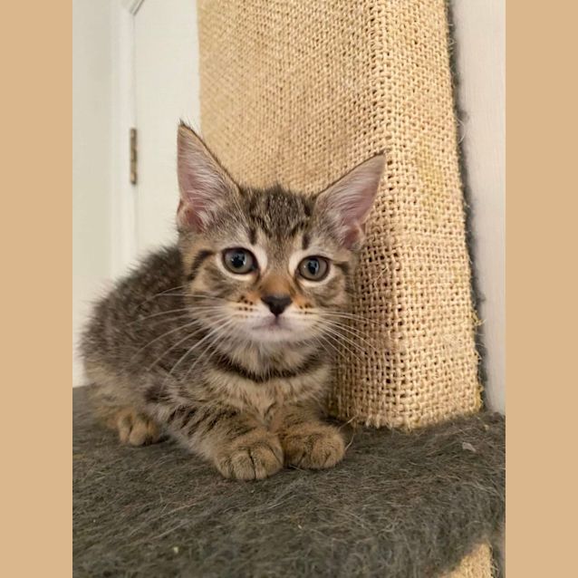 Photo of Yuki