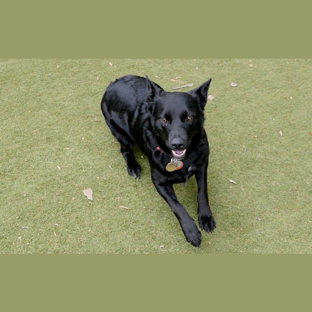 Photo of Bonita