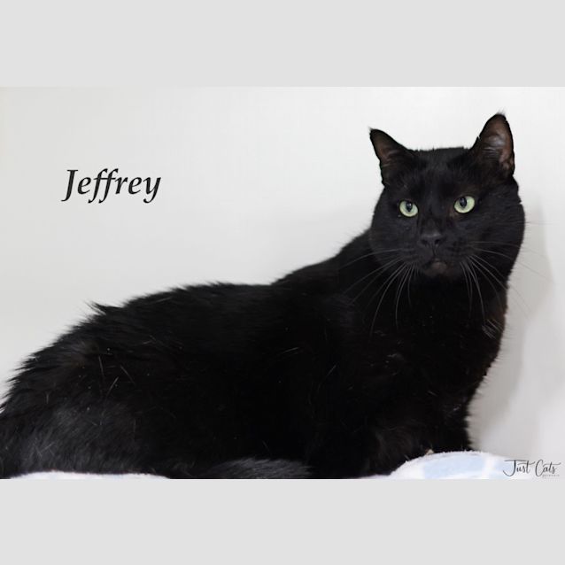Photo of Jeffrey
