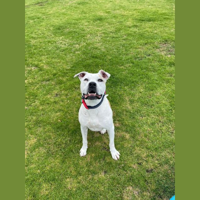 Photo of Delilah