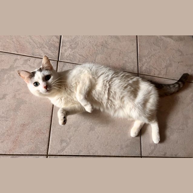 Photo of Yuki