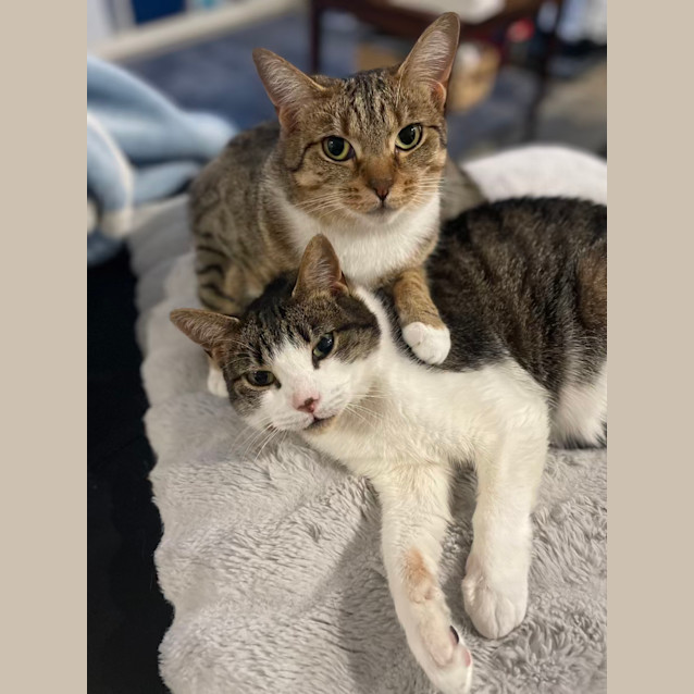 Photo of Zena & Bubbles 🌹🌺