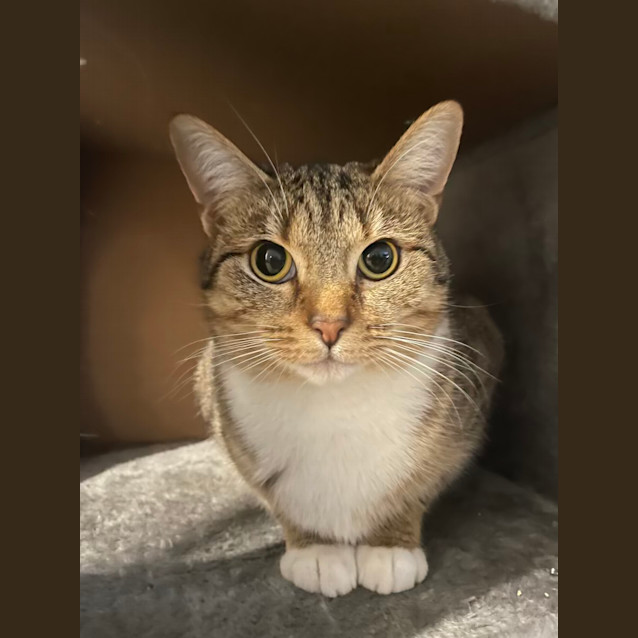 Photo of Zena & Bubbles 🌹🌺