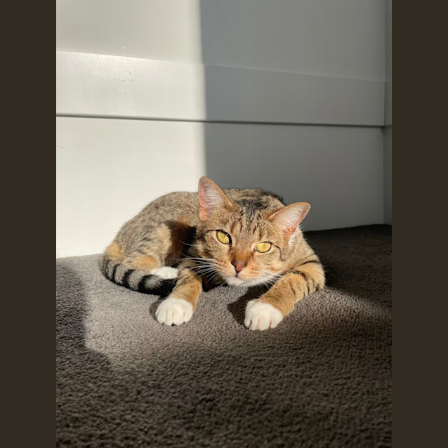 Photo of Zena & Bubbles 🌹🌺