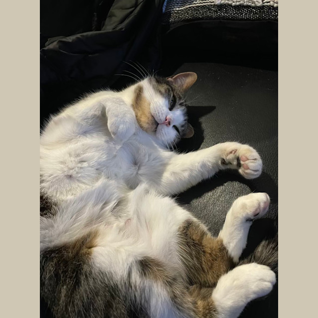 Photo of Zena & Bubbles 🌹🌺