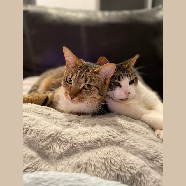 Photo of Zena & Bubbles 🌹🌺