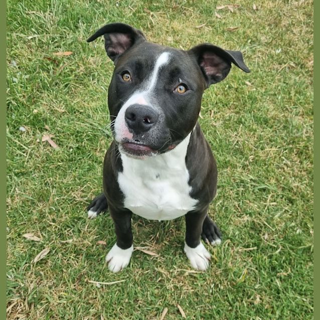 Photo of Clifford