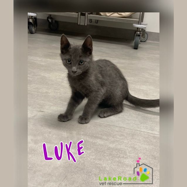 Photo of Luke