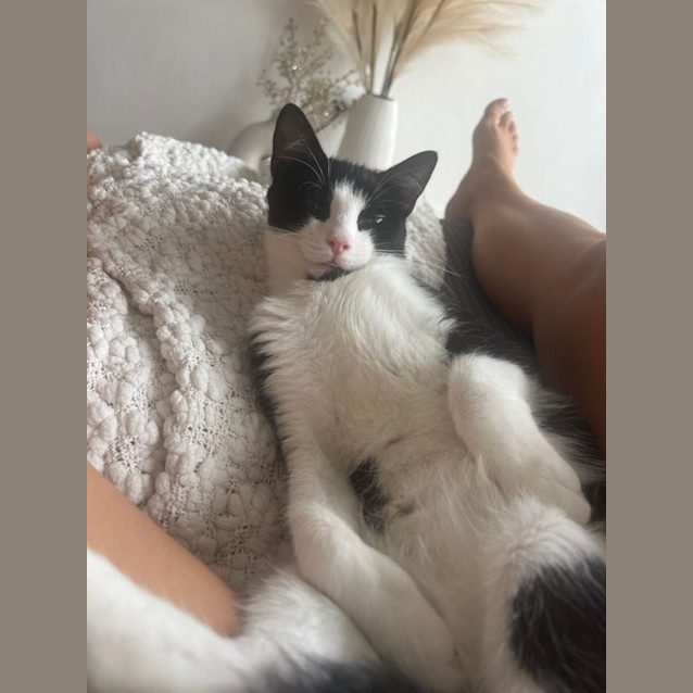 Photo of Uno