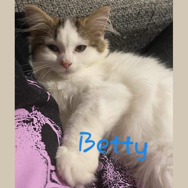 Photo of Betty