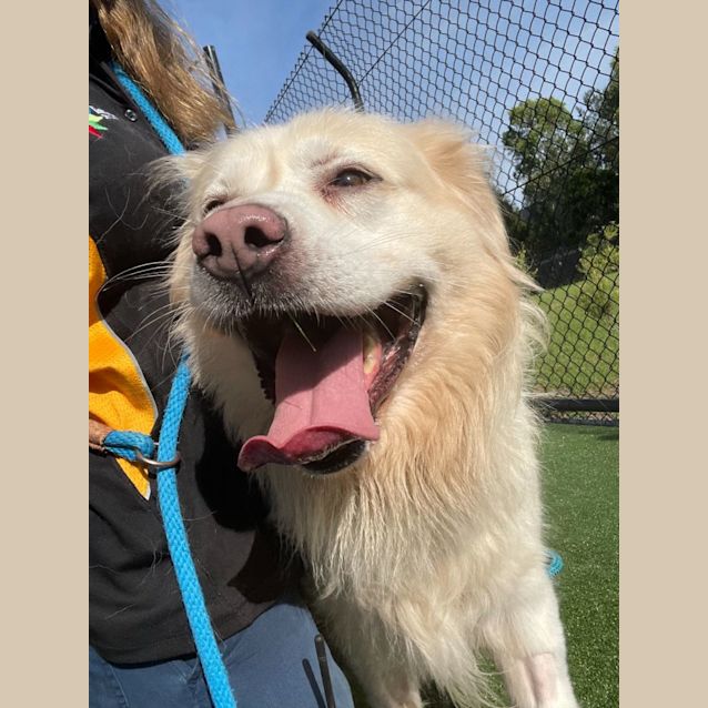 Photo of Falkor Imp 2097