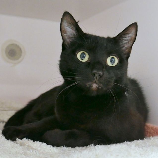 Photo of Penelope Sua011976