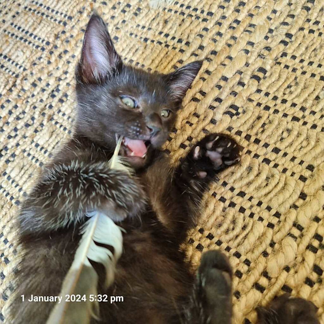 Photo of Baby