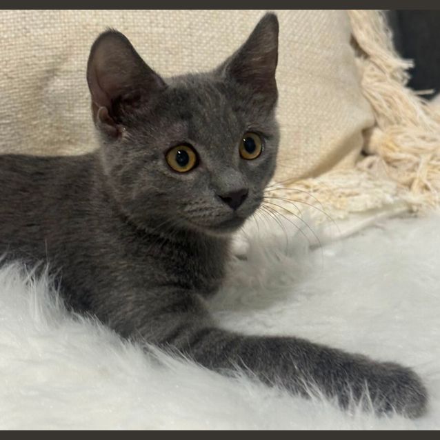 Photo of Kailani 😻💕