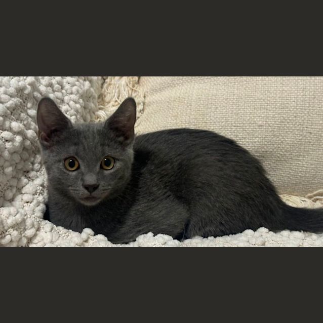 Photo of Kailani 😻💕